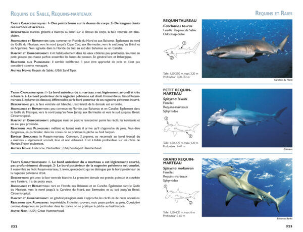POISSONS DU RÉCIF IDENTIFICATION – Image 3
