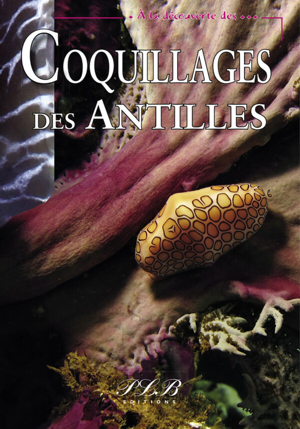 A LA DÉCOUVERTE DES COQUILAGES DES ANTILLES