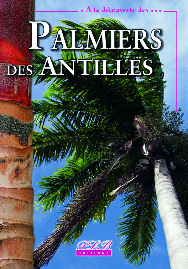 A LA DÉCOUVERTE DES PALMIERS DES ANTILLES