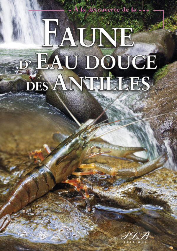 A LA DÉCOUVERTE DE LA FAUNE D'EAU DOUCE DES ANTILLES