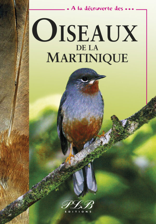 A LA DÉCOUVERTE DES OISEAUX DE LA MARTINIQUE