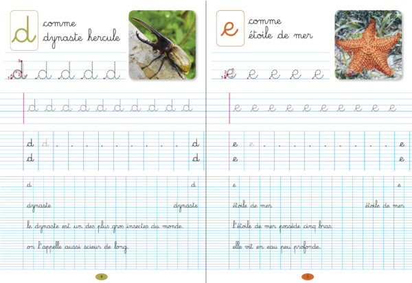 MON CAHIER D'ÉCRITURE DES ANTILLES, animaux d'ici et d'ailleurs – Image 2