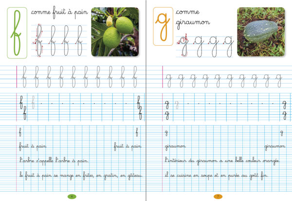 MON CAHIER D'ÉCRITURES DES ANTILLES, fruits et légumes d'ici et d'ailleurs – Image 2