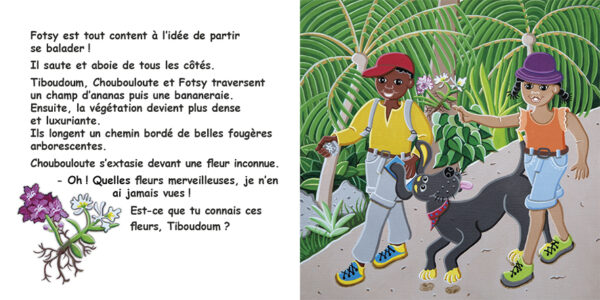 CHOUBOULOUTE EN EXCURSION SUR LE VOLCAN – Image 2