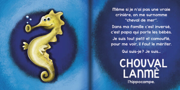 ZANNIMO LAKARAÏB DANS LA MER – Image 2