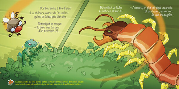 RARADOLI L'INCORRIGIBLE – Image 2