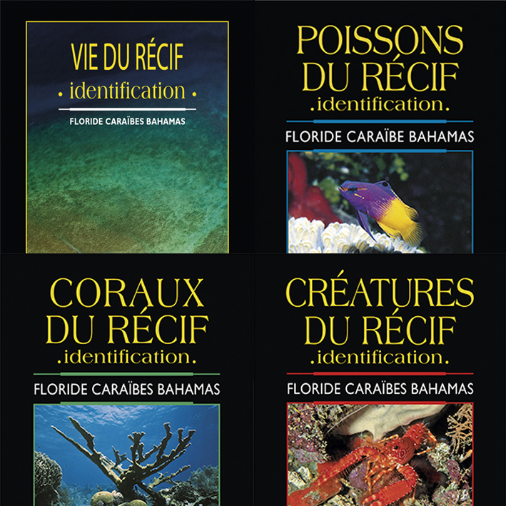 Coffret Vie du récif