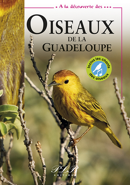 COUVERTURE Facing OISEAUX Guad 2024